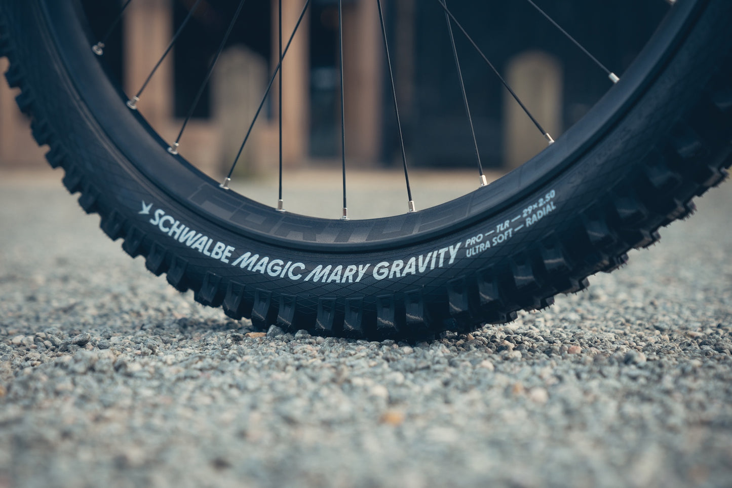Specialized Stumpjumper Evo Alloy Raw Custom