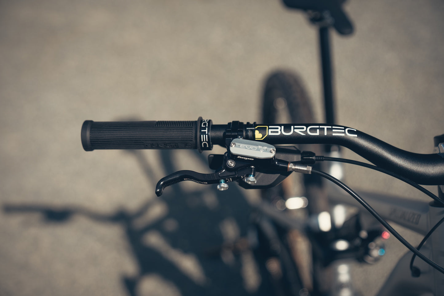 Specialized Stumpjumper Evo Alloy Raw Custom
