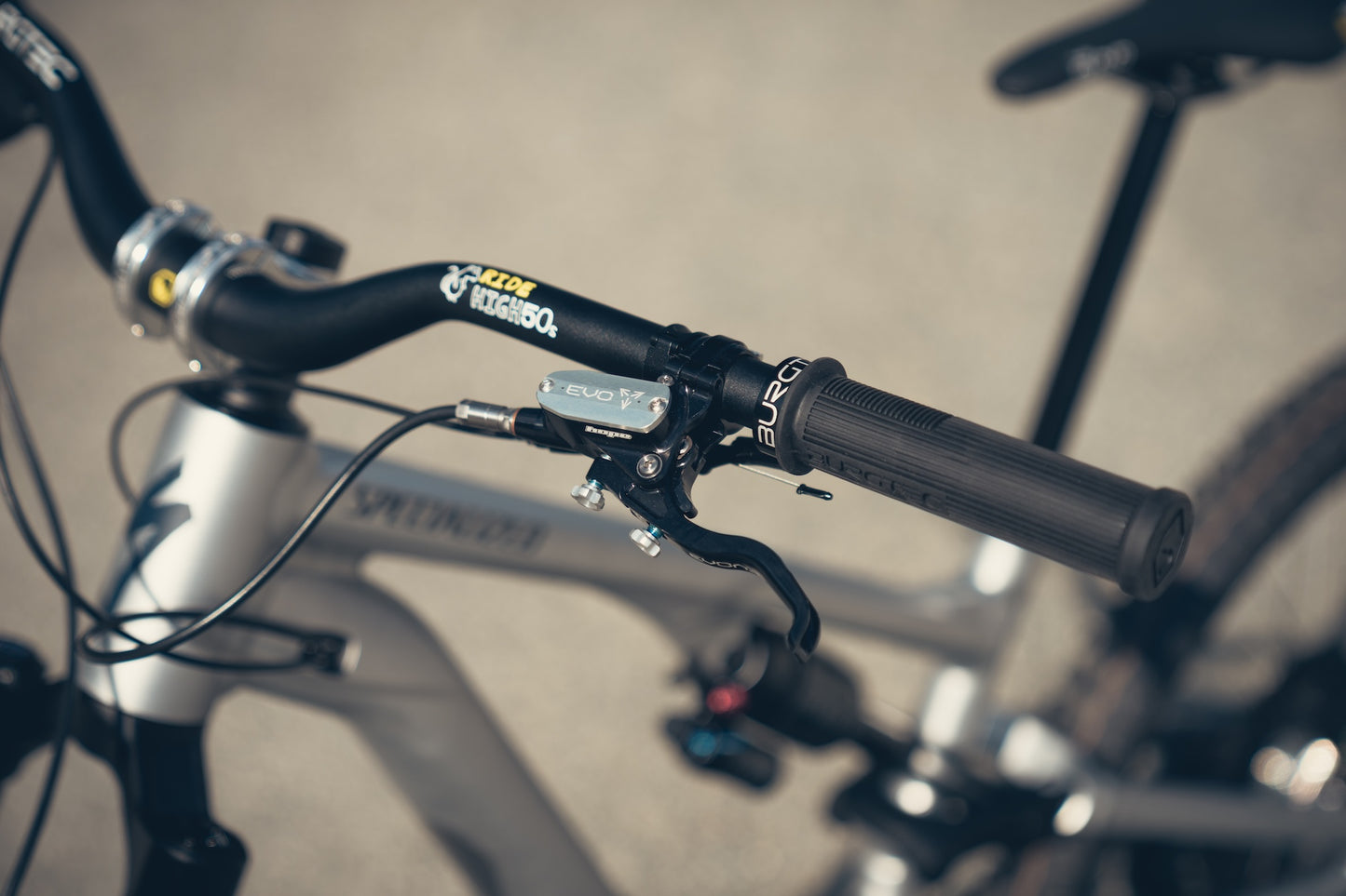 Specialized Stumpjumper Evo Alloy Raw Custom
