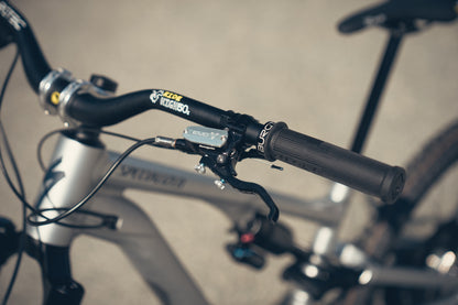 Specialized Stumpjumper Evo Alloy Raw Custom