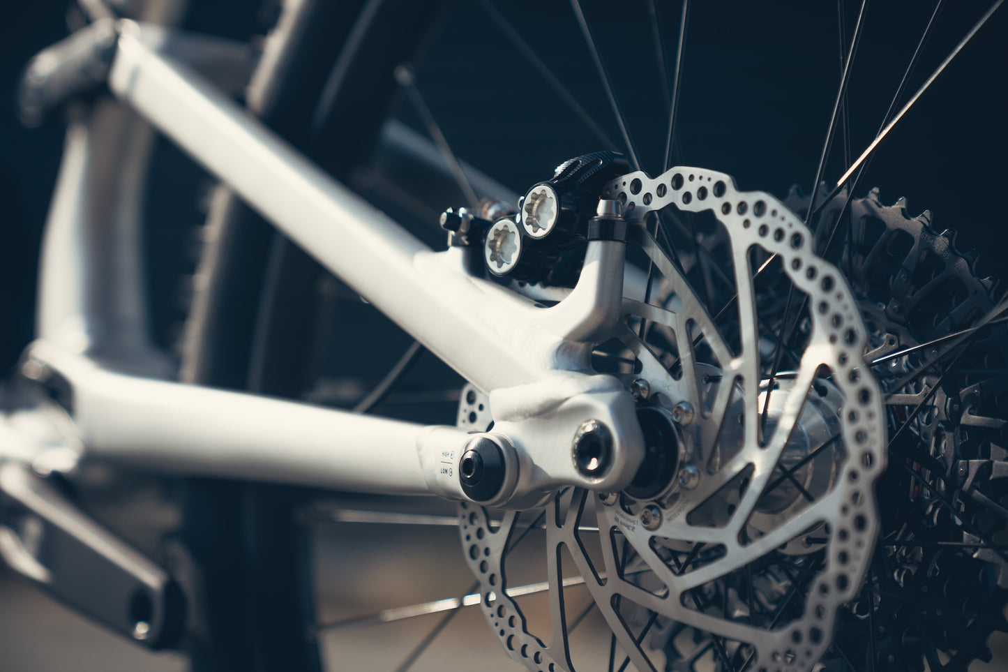Specialized Stumpjumper Evo Alloy Raw Custom