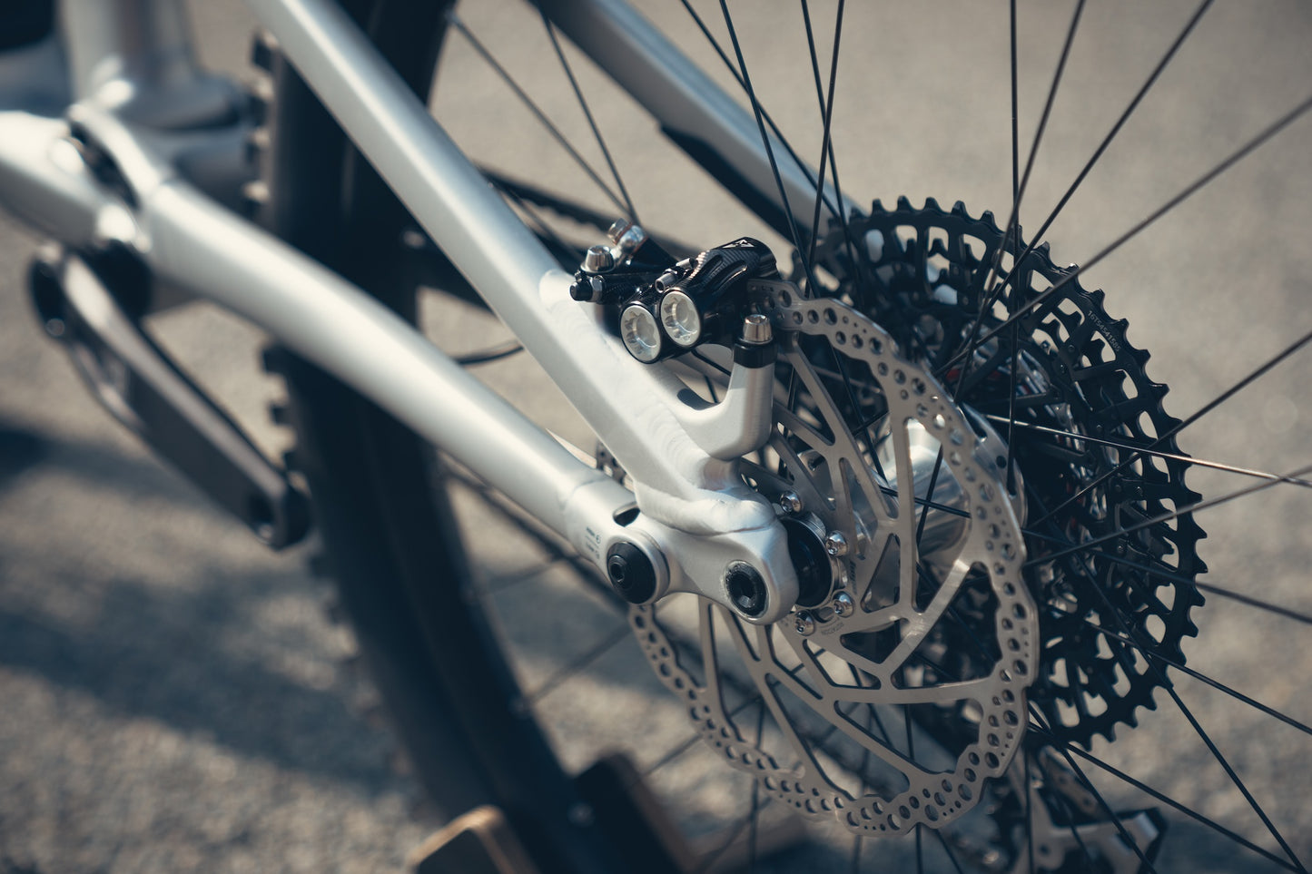 Specialized Stumpjumper Evo Alloy Raw Custom