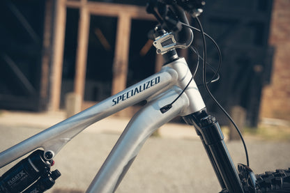 Specialized Stumpjumper Evo Alloy Raw Custom