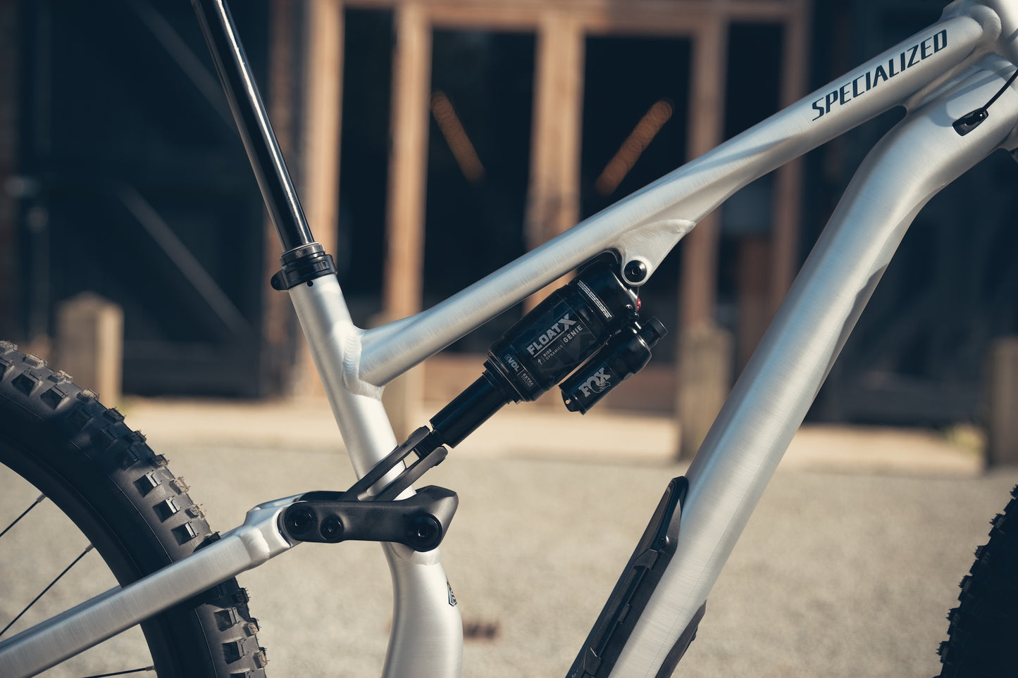 Specialized Stumpjumper Evo Alloy Raw Custom