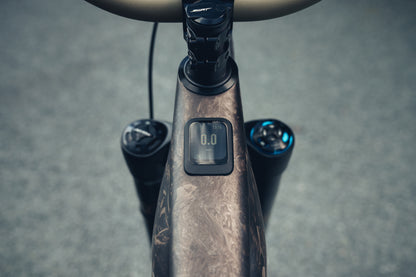 Specialized Levo 4 S-Works Custom Podium 2026