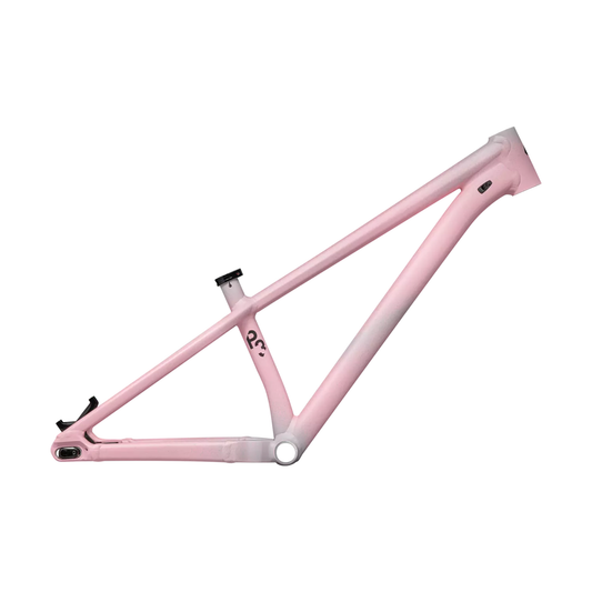 Specialized P.Series P.3 Frame