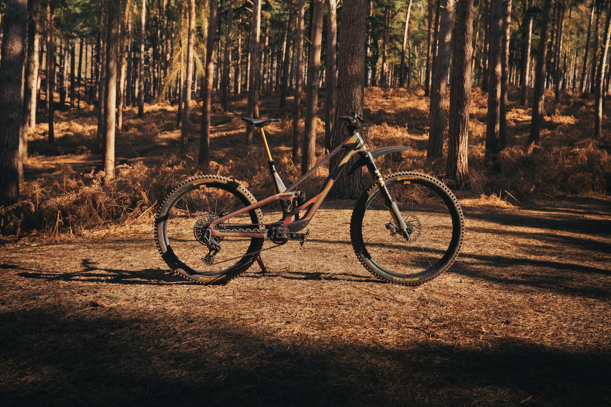 Orbea Rallon Custom 