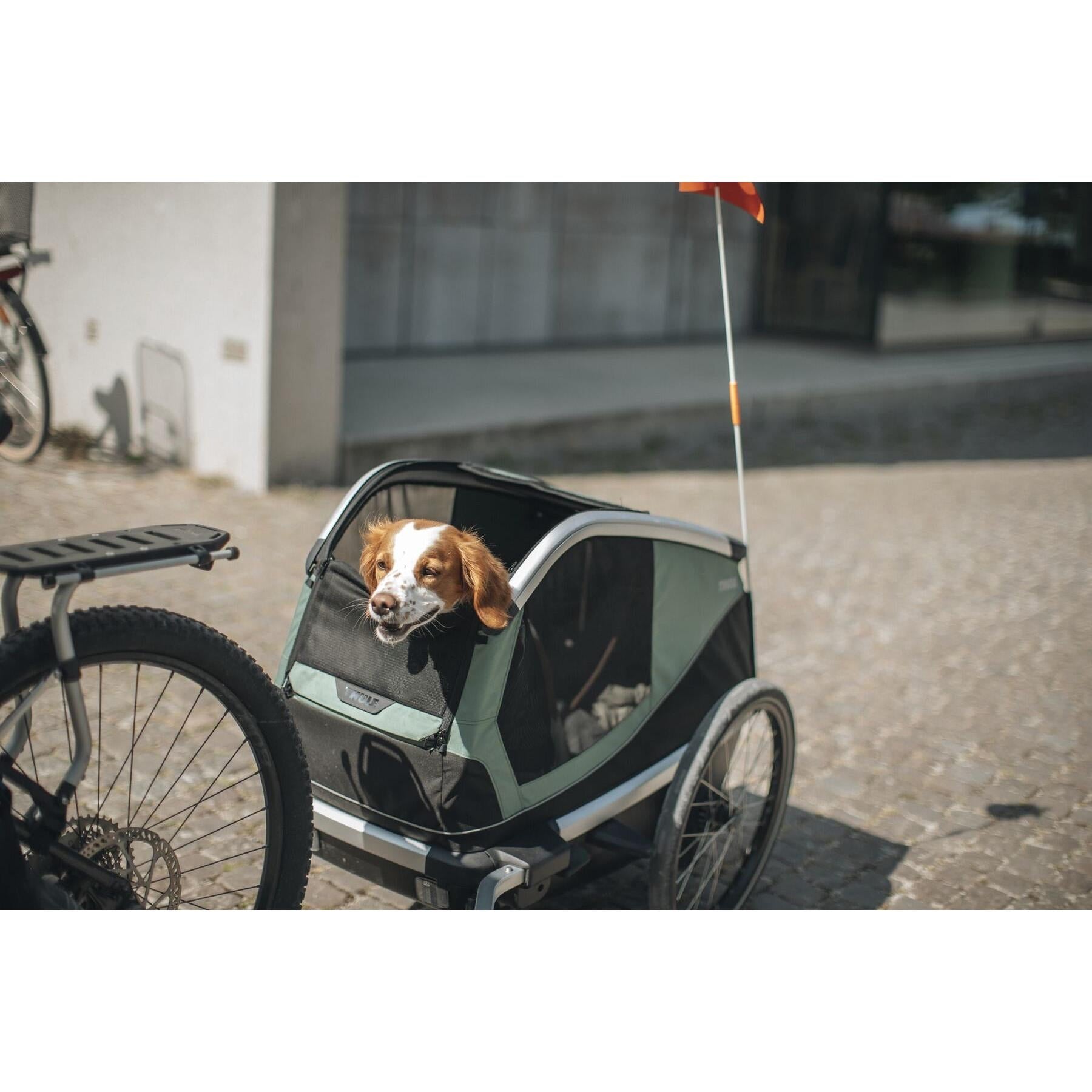 Thule Bexey M-BRINK