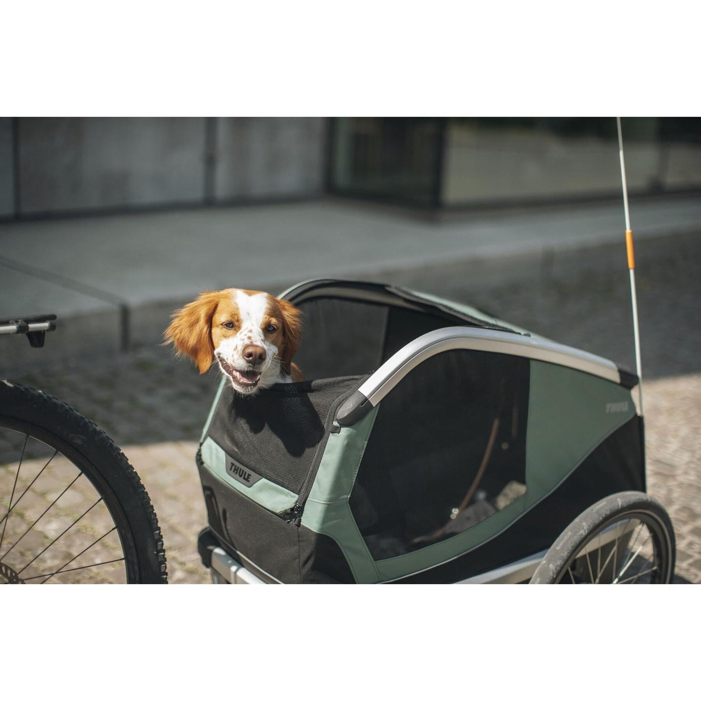 Thule Bexey M-BRINK