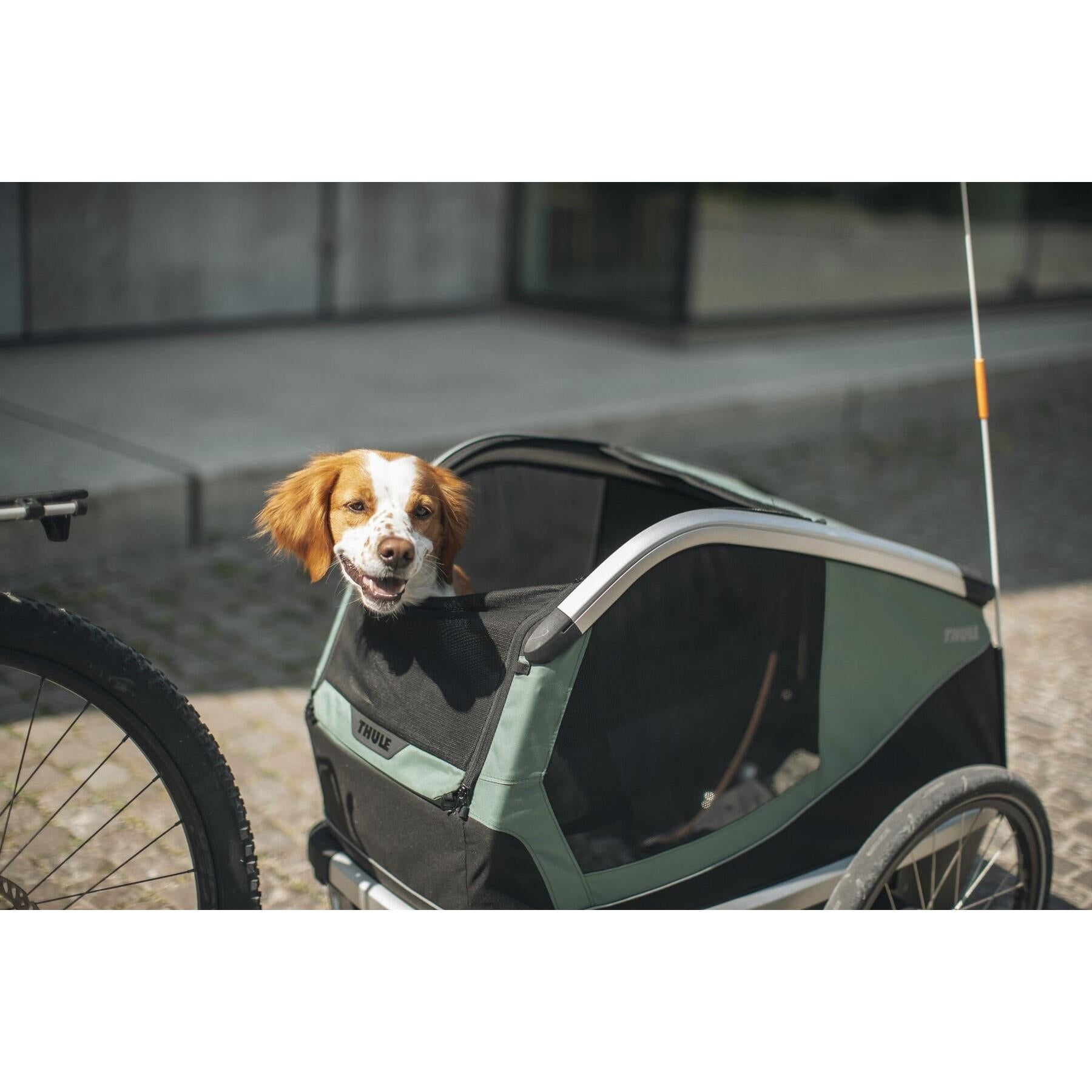 Thule Bexey M-BRINK