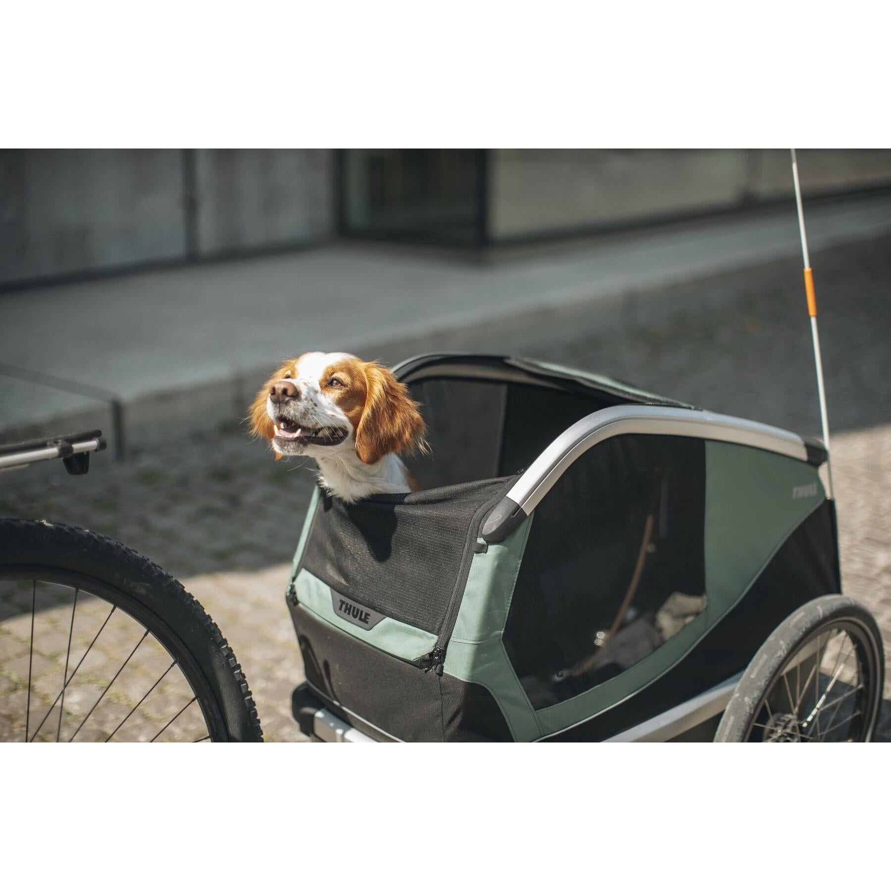 Thule Bexey M-BRINK
