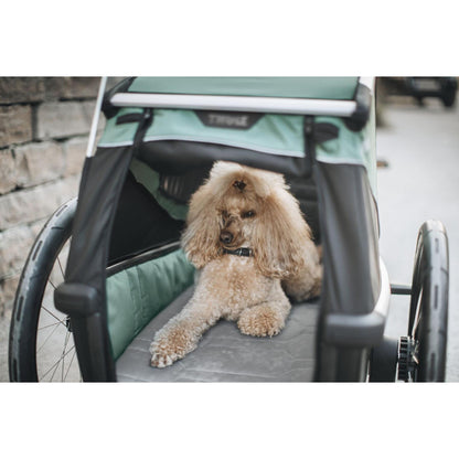 Thule Bexey M-BRINK