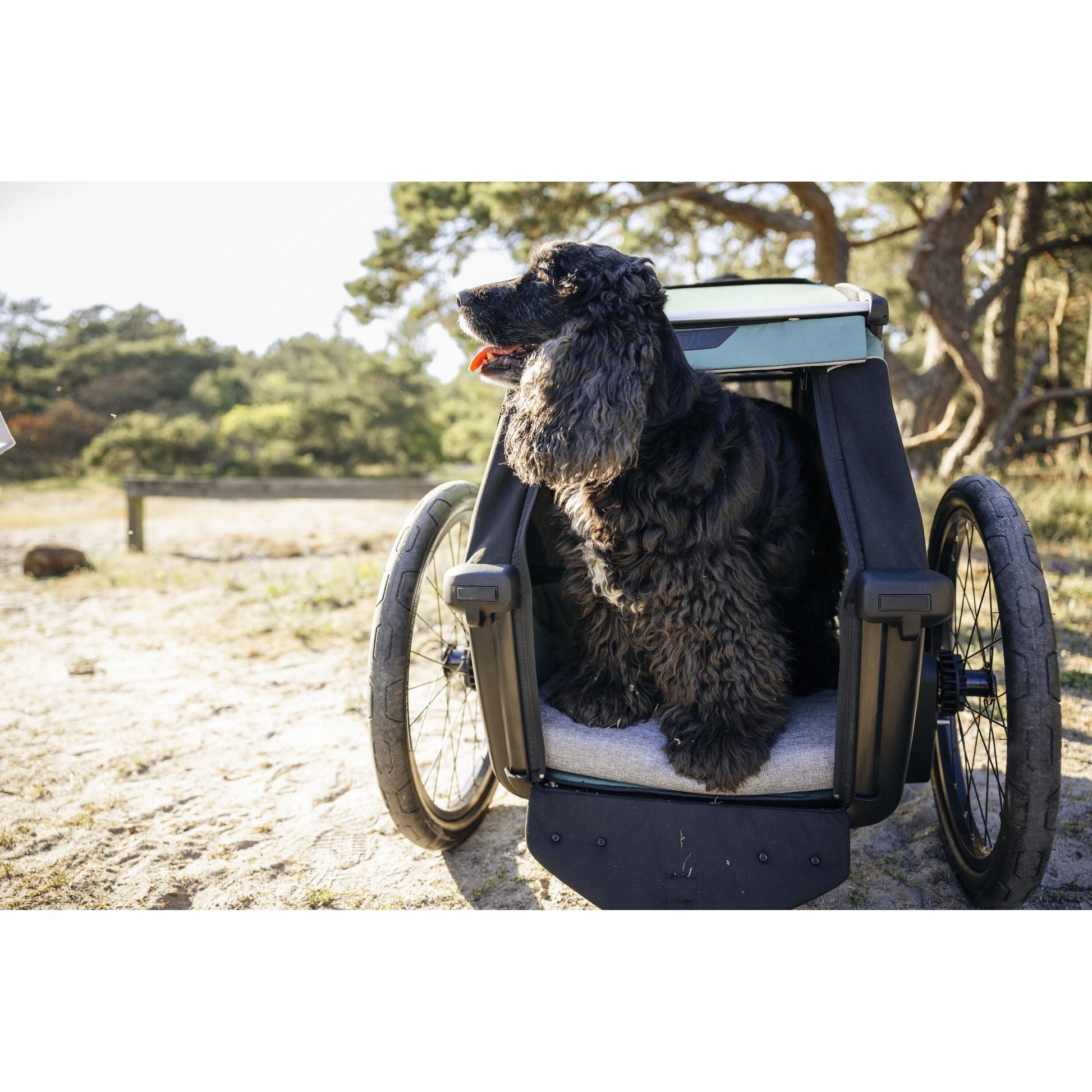 Thule Courier dog trailer kit-BRINK