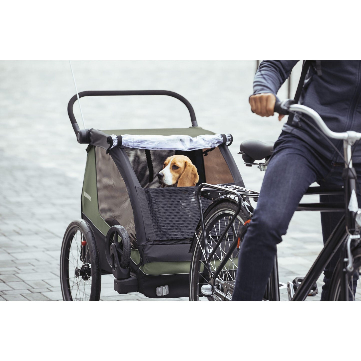 Thule Courier-BRINK