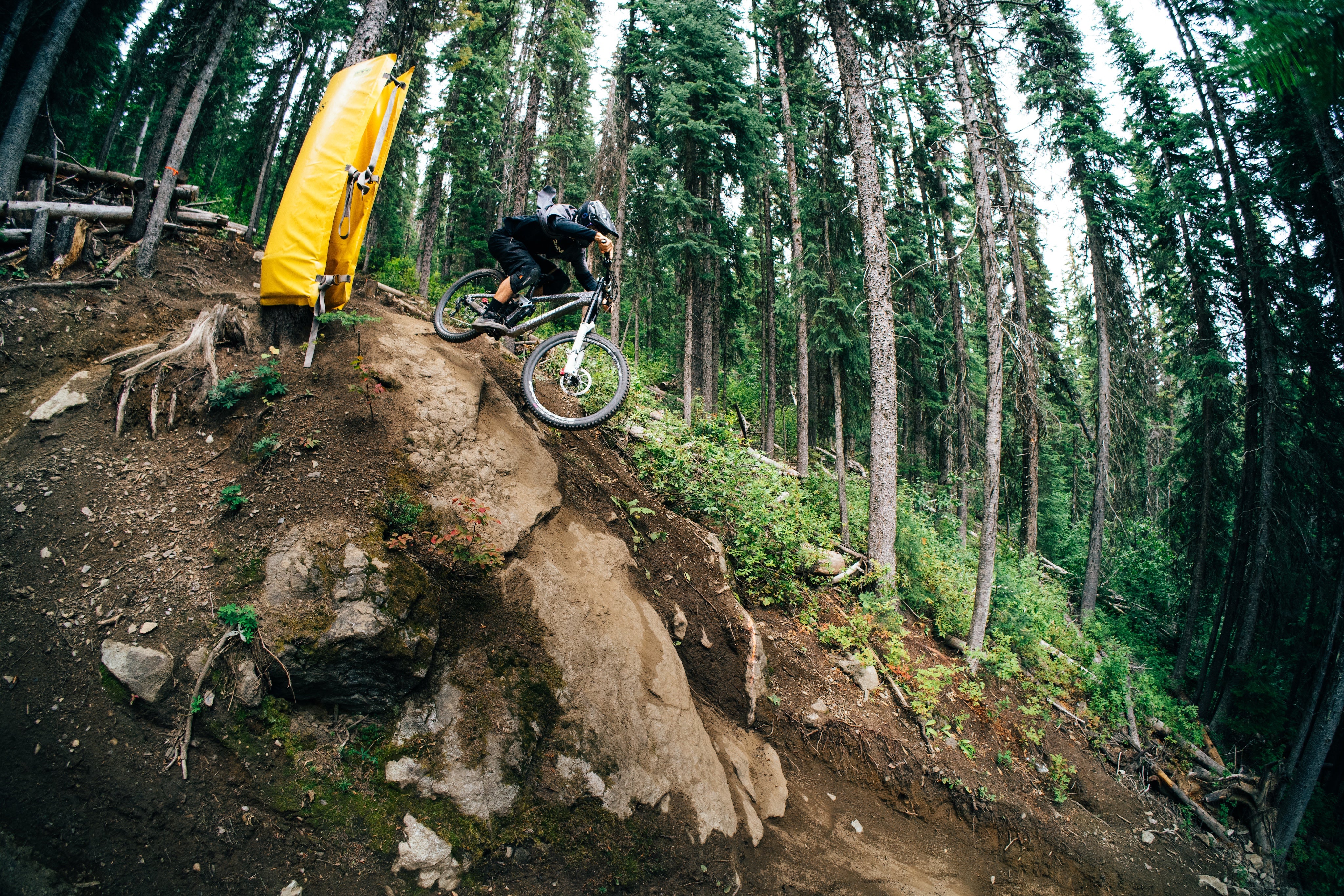 Transition Bottlerocket Dual Crown 2026