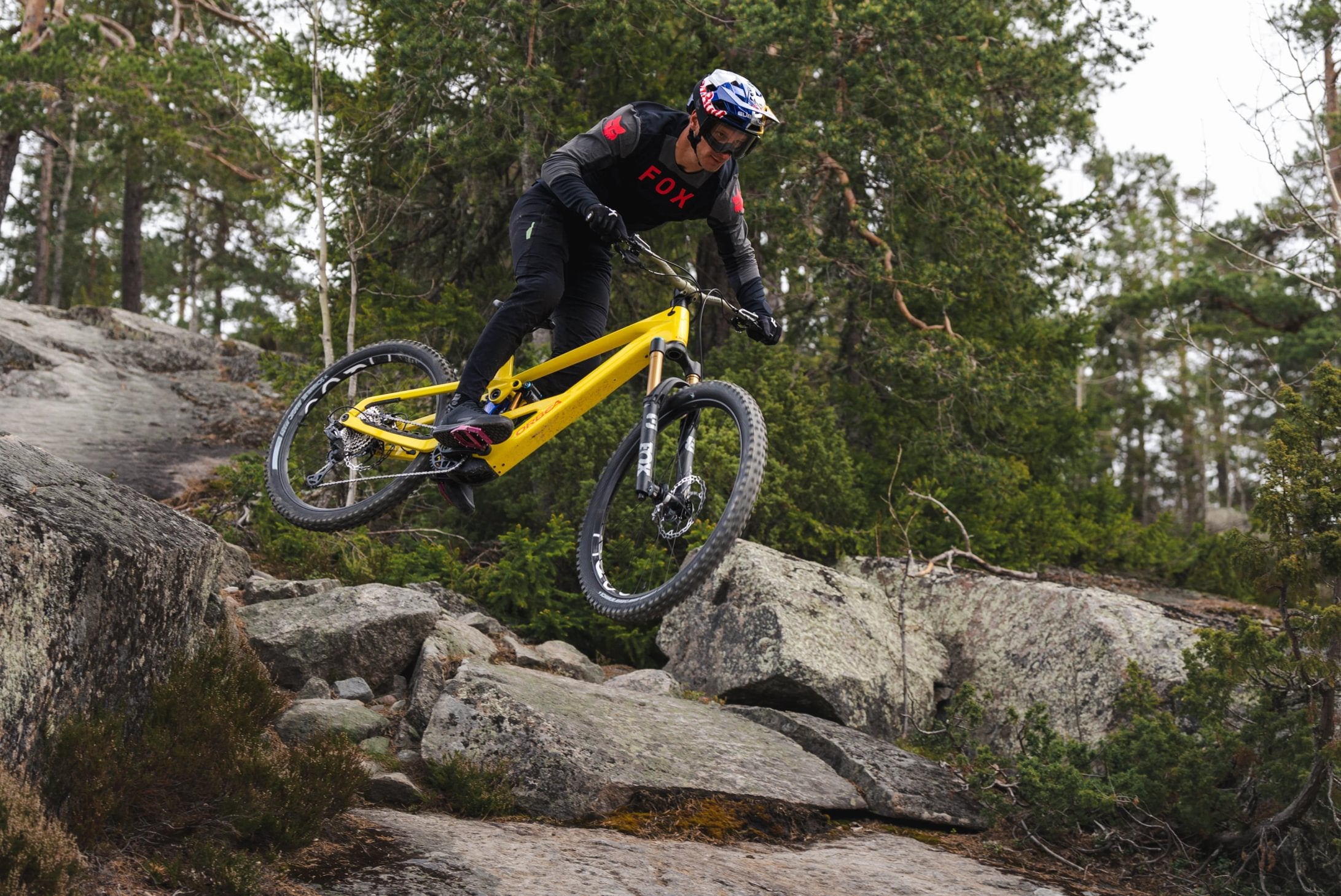Orbea Wild LT M10 2027