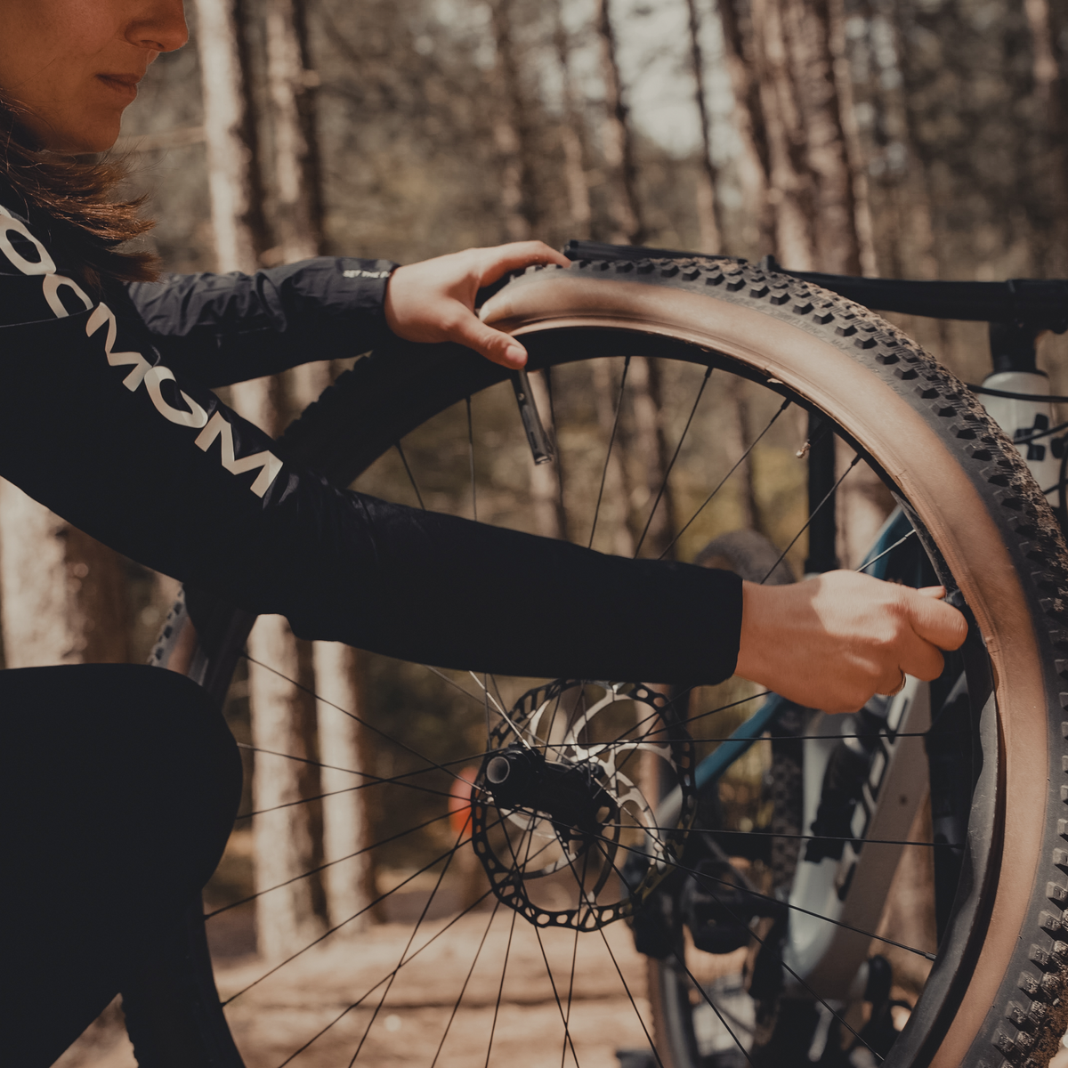 Daysaver Incredible6 Multitool - Ready for the tyre-off option