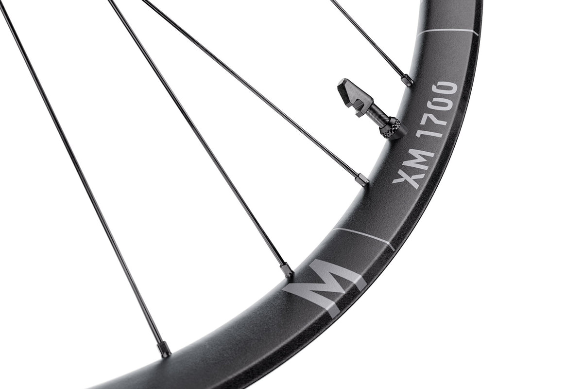 A build chosen for the front wheel - DT Swiss product detail