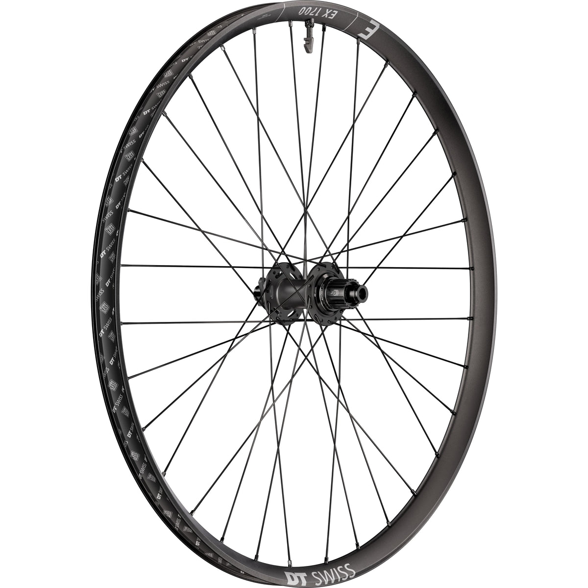 DT Swiss EX 1700 CLASSIC 30 mm 6-Bolt Ratchet DEG DF Rear Wheel - product view