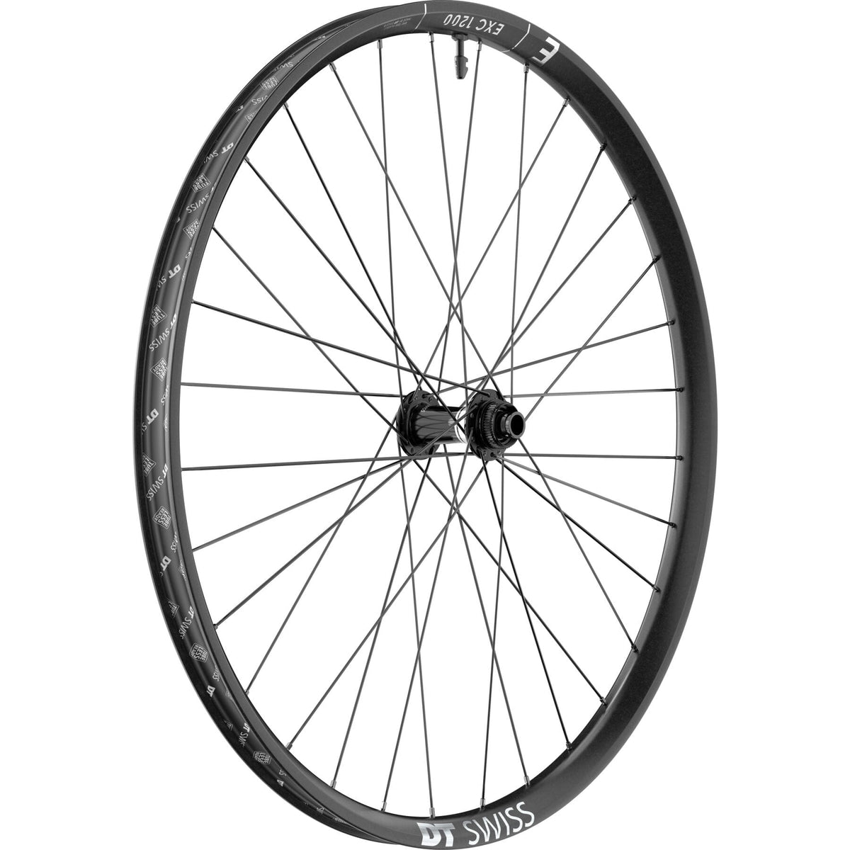 DT Swiss EXC 1200 Classic 30 mm Front Wheel - product view