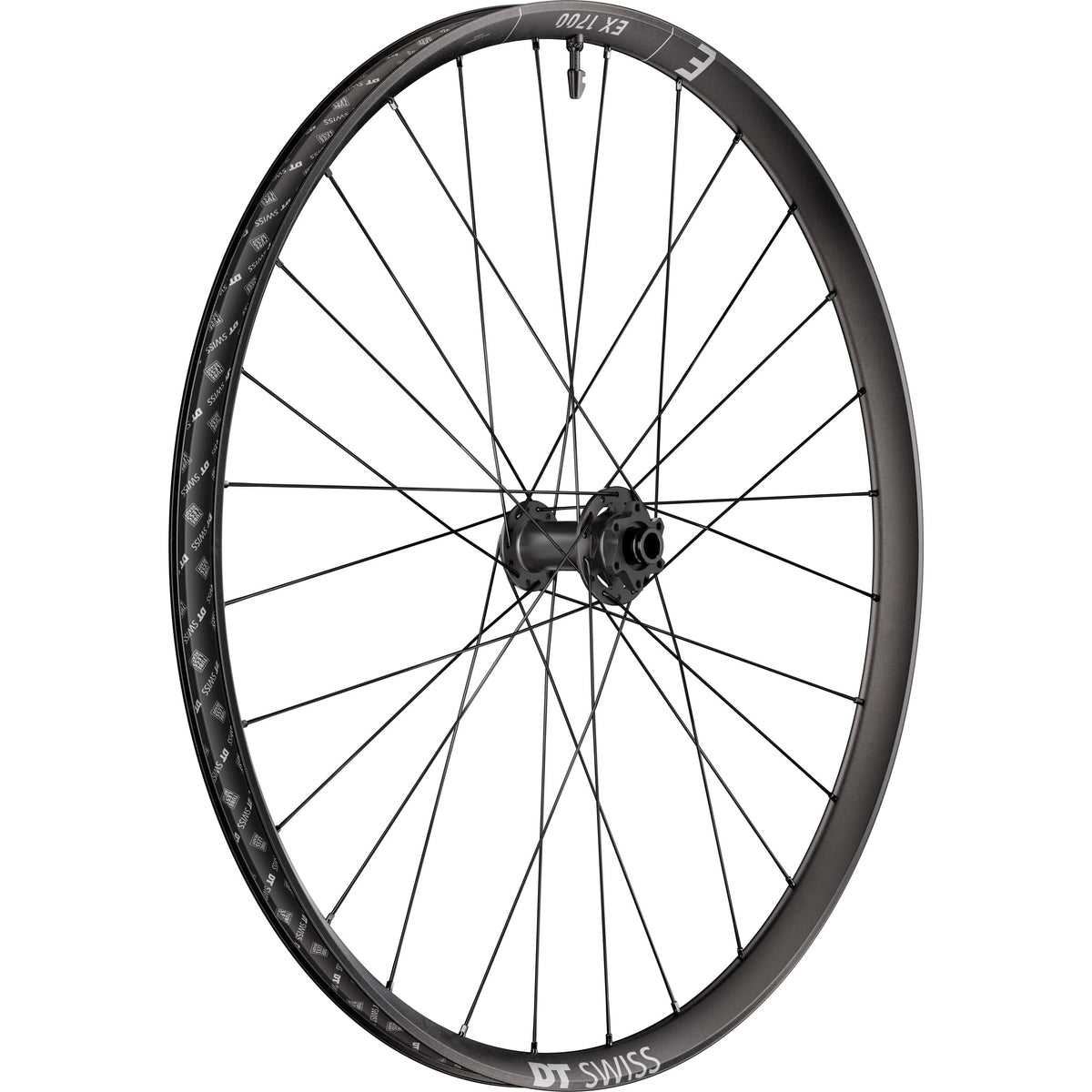 DT Swiss EX 1700 CLASSIC 30 mm 6-Bolt Front Wheel - product view