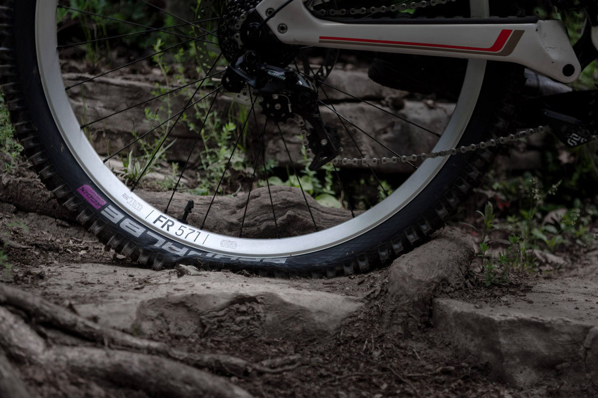 DT Swiss FR 571 Rim - Silver FR571 fitted rear wheel against roots and rock; large sharp FR571 decal, tyre and rim dominate foreground.