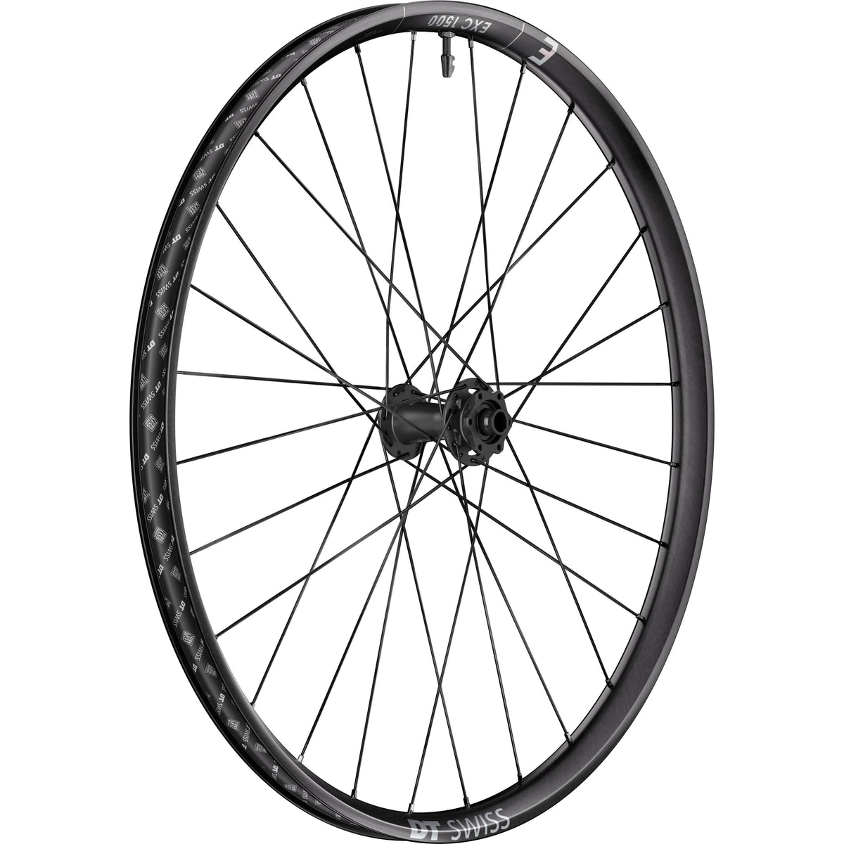 DT Swiss EXC 1500 CLASSIC 30 mm 6-Bolt Front Wheel - product view