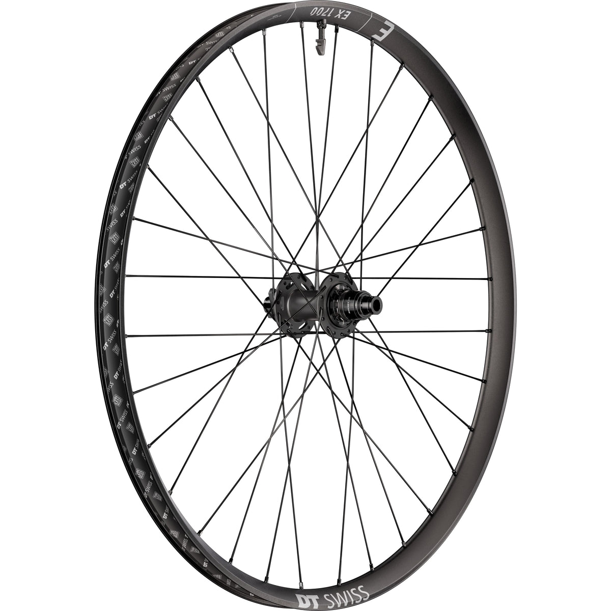 DT Swiss EX 1700 CLASSIC 30 mm 6-Bolt Ratchet DEG DF Rear Wheel - product view