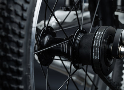 Early Rider Belter 14 in Brushed Aluminium - rear hub, belt and sprocket close-up
