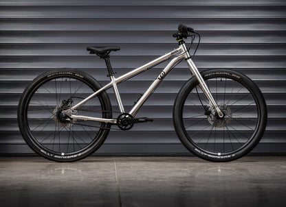 Early Rider Belter 24 in Brushed Aluminium - whole-bike profile with belt and disc brakes