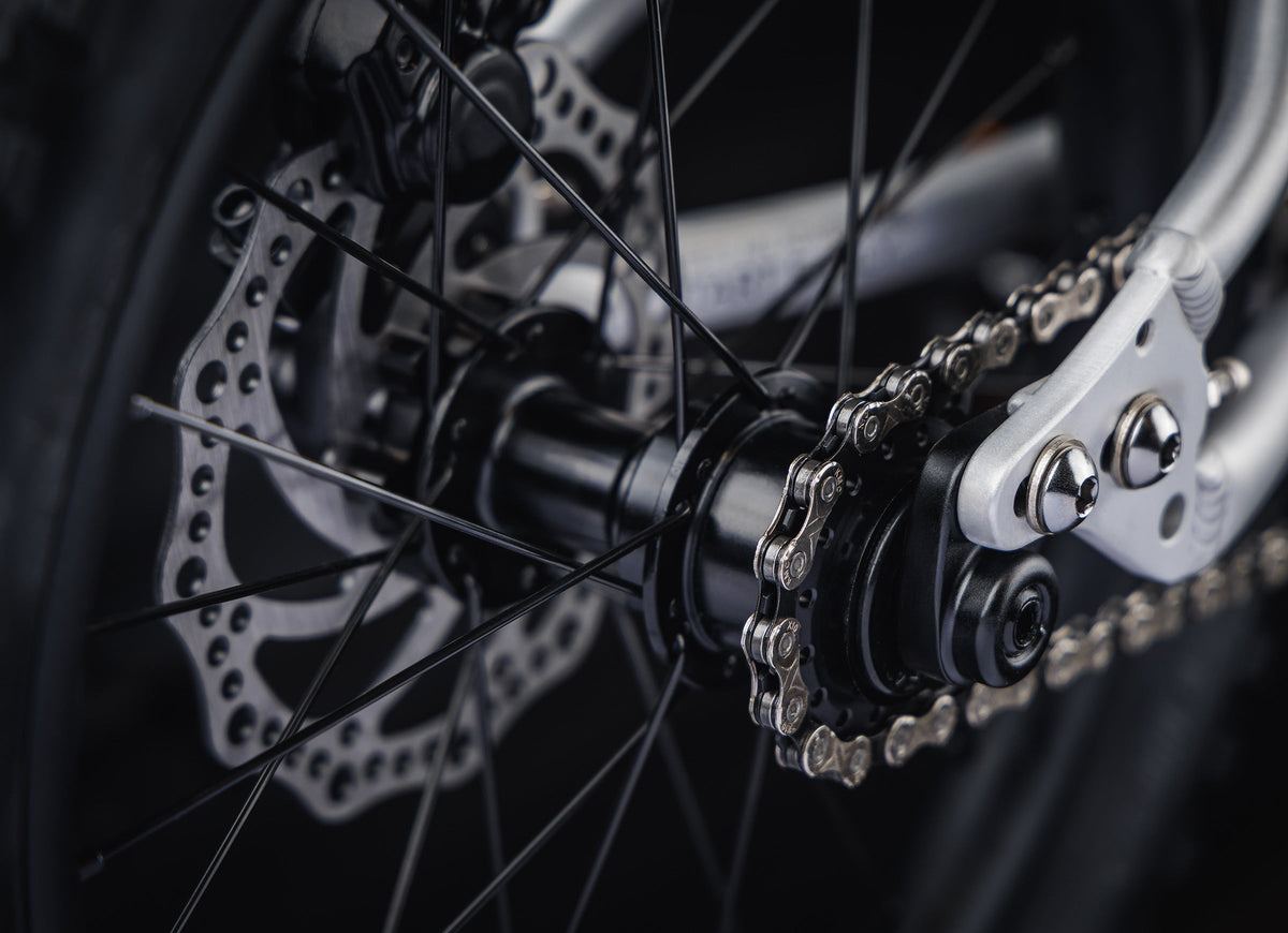 Early Rider Charger 16 in Brushed Aluminium - single-speed rear hub and chain