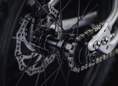 Early Rider Charger 16 in Brushed Aluminium - single-speed rear hub and chain