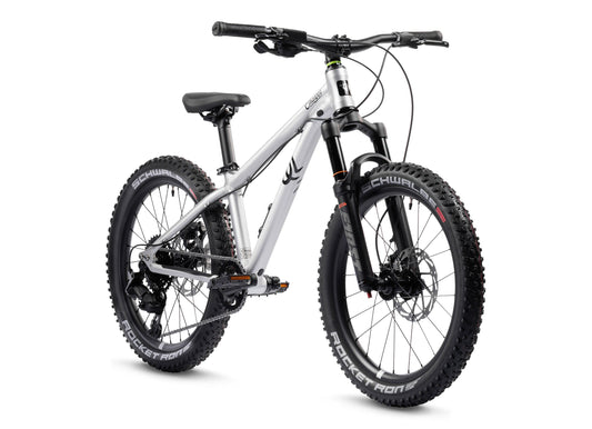 Early Rider Charger 20 in Brushed Aluminium - three-quarter whole bike on white