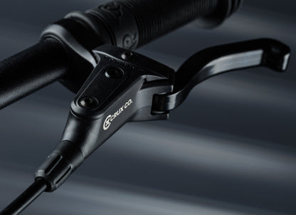 Early Rider Seeker 16 in Brushed Aluminium - CRUX hydraulic brake lever and grip