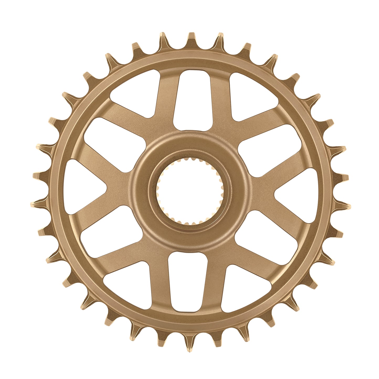 e*thirteen Helix e*spec Chainring-BRINK