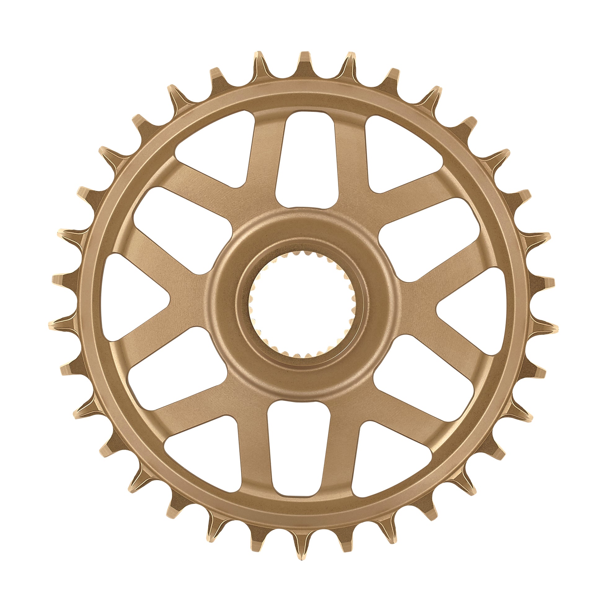 e*thirteen Helix e*spec Chainring-BRINK
