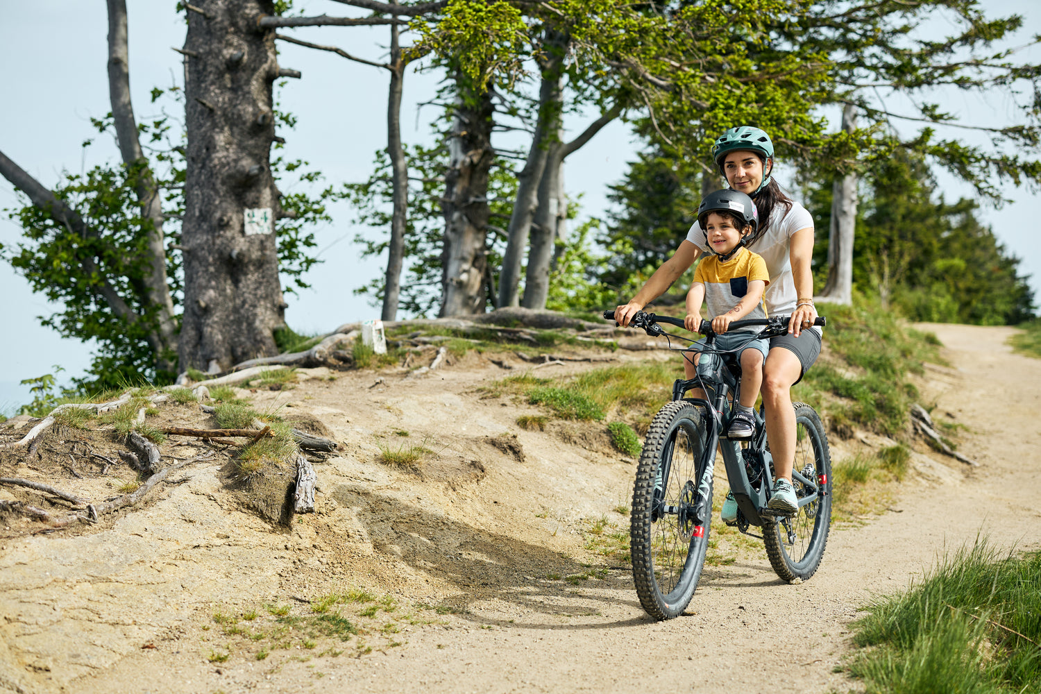 Kids Ride Shotgun Child Bike Seat
