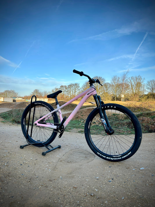 Specialized P3 Custom