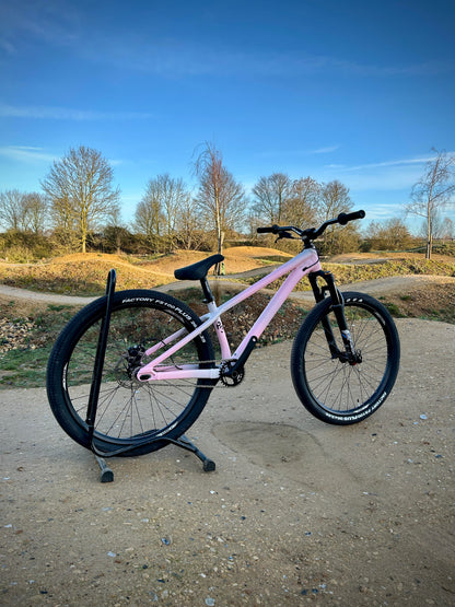 Specialized P3 Custom