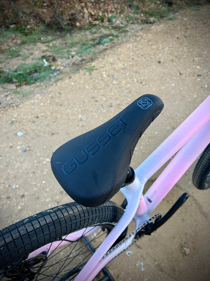 Specialized P3 Custom