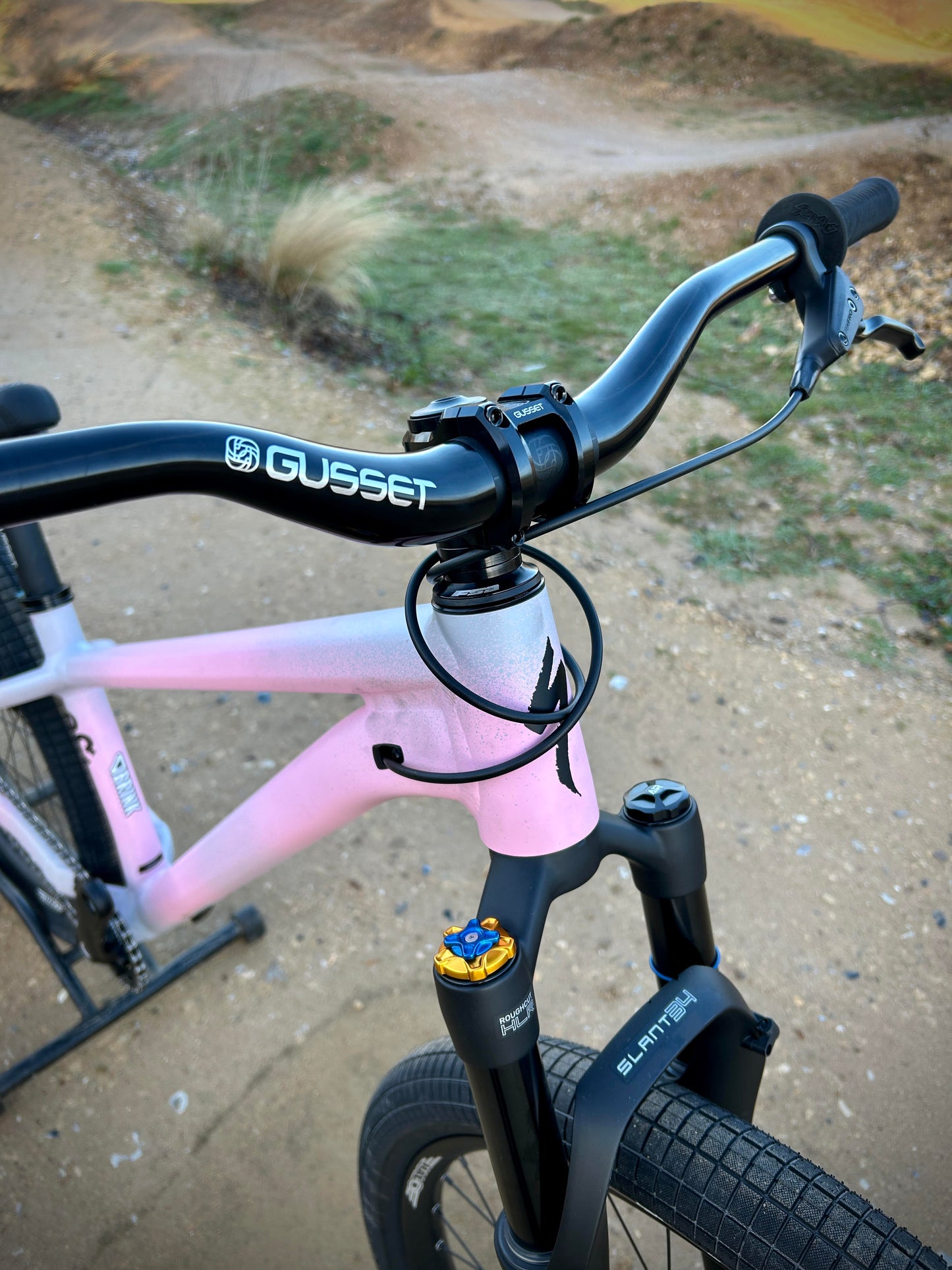 Specialized P3 Custom