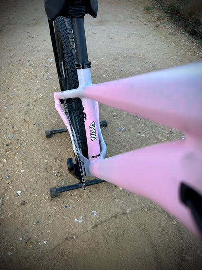 Specialized P3 Custom