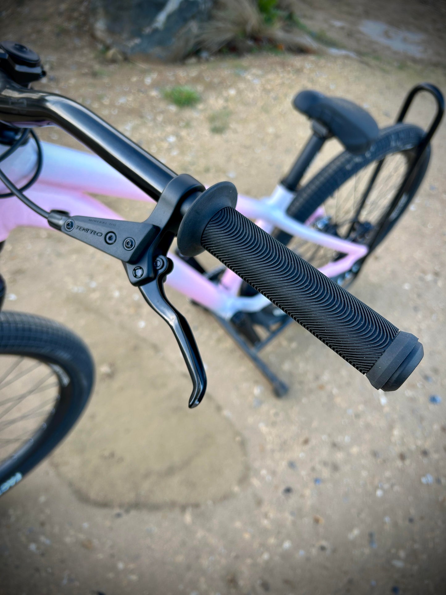 Specialized P3 Custom