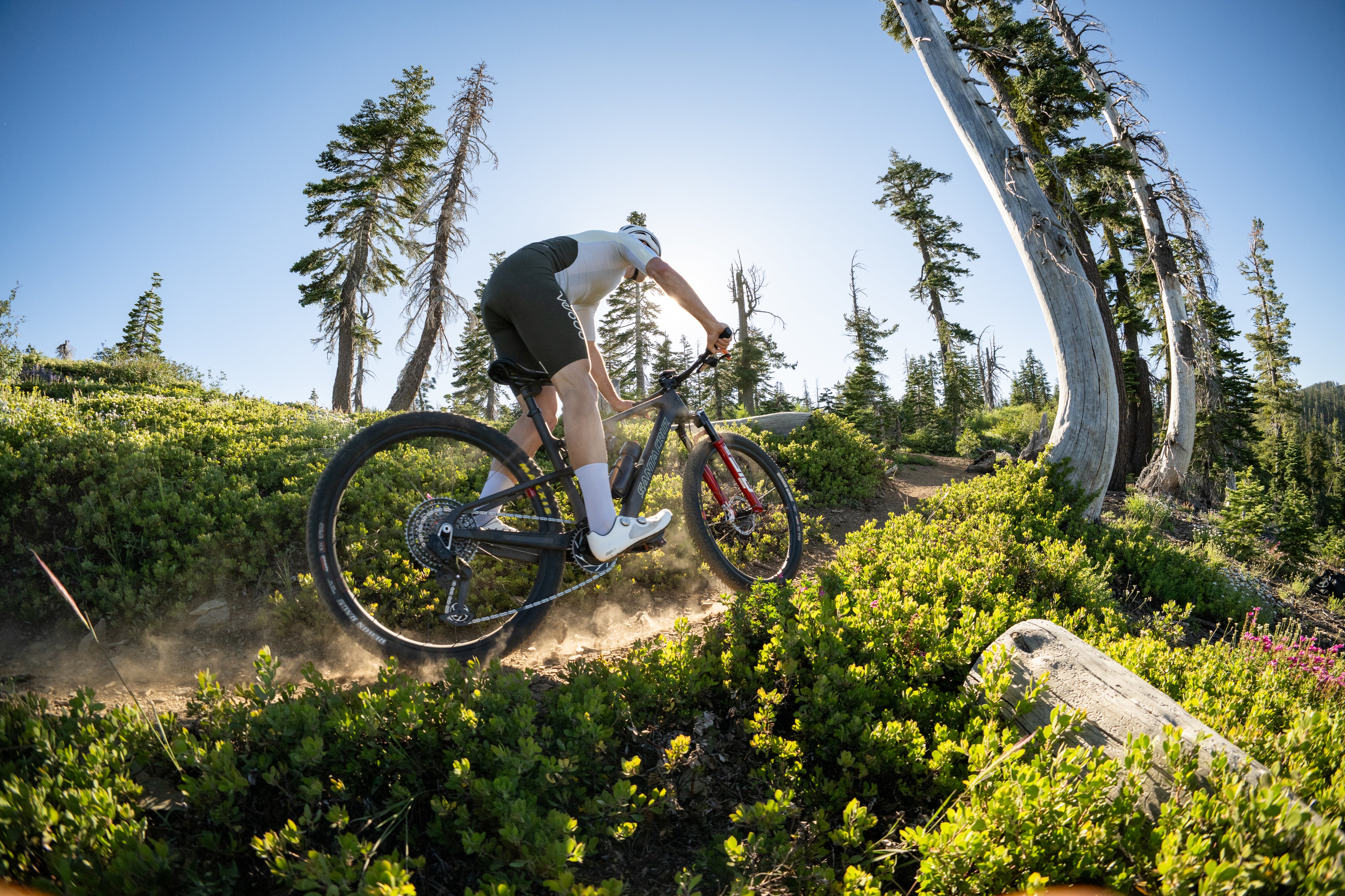 Santa Cruz Blur 5 racing through alpine singletrack