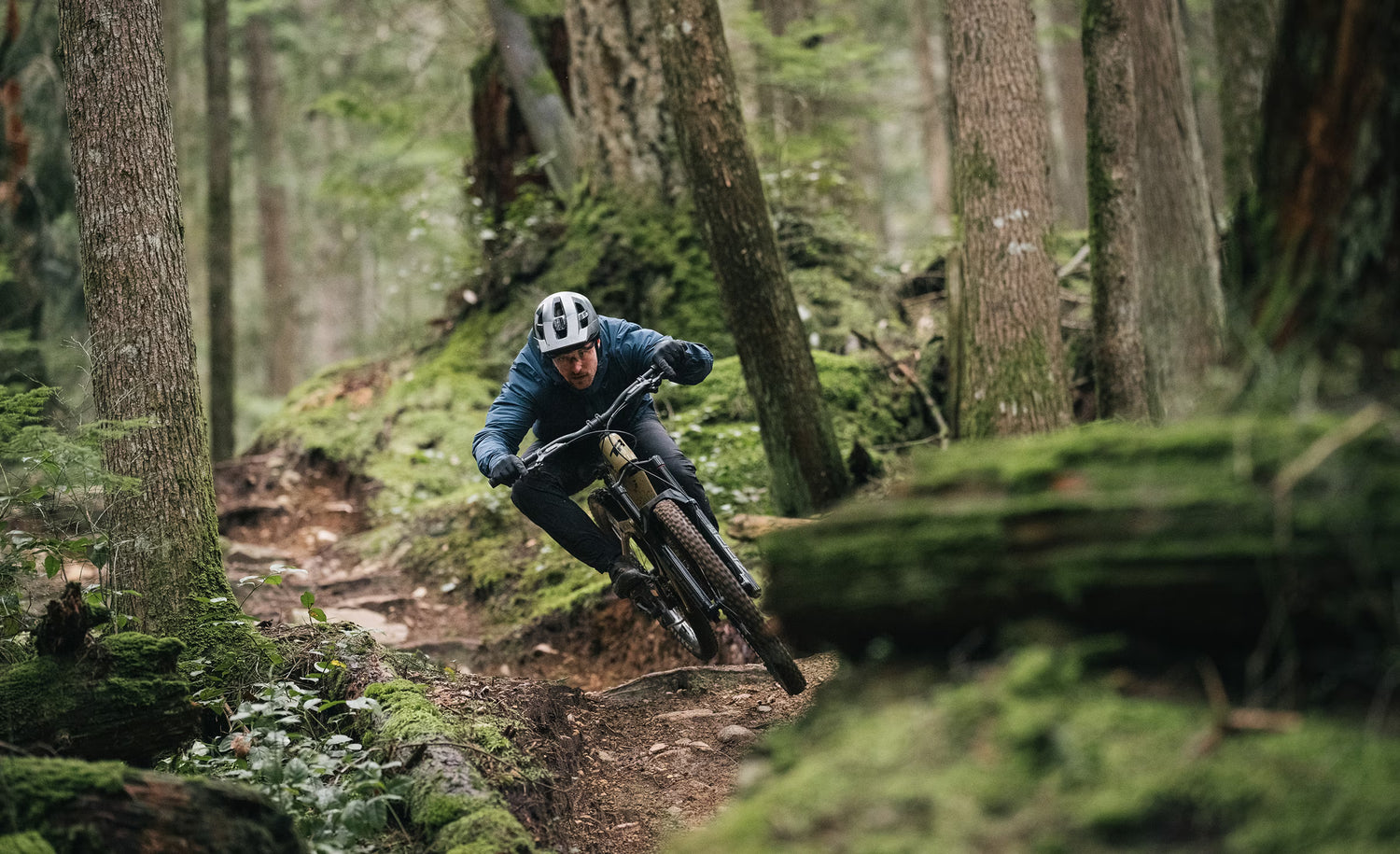 Transition — C RepeaterPT Action1 — 841f1cb6