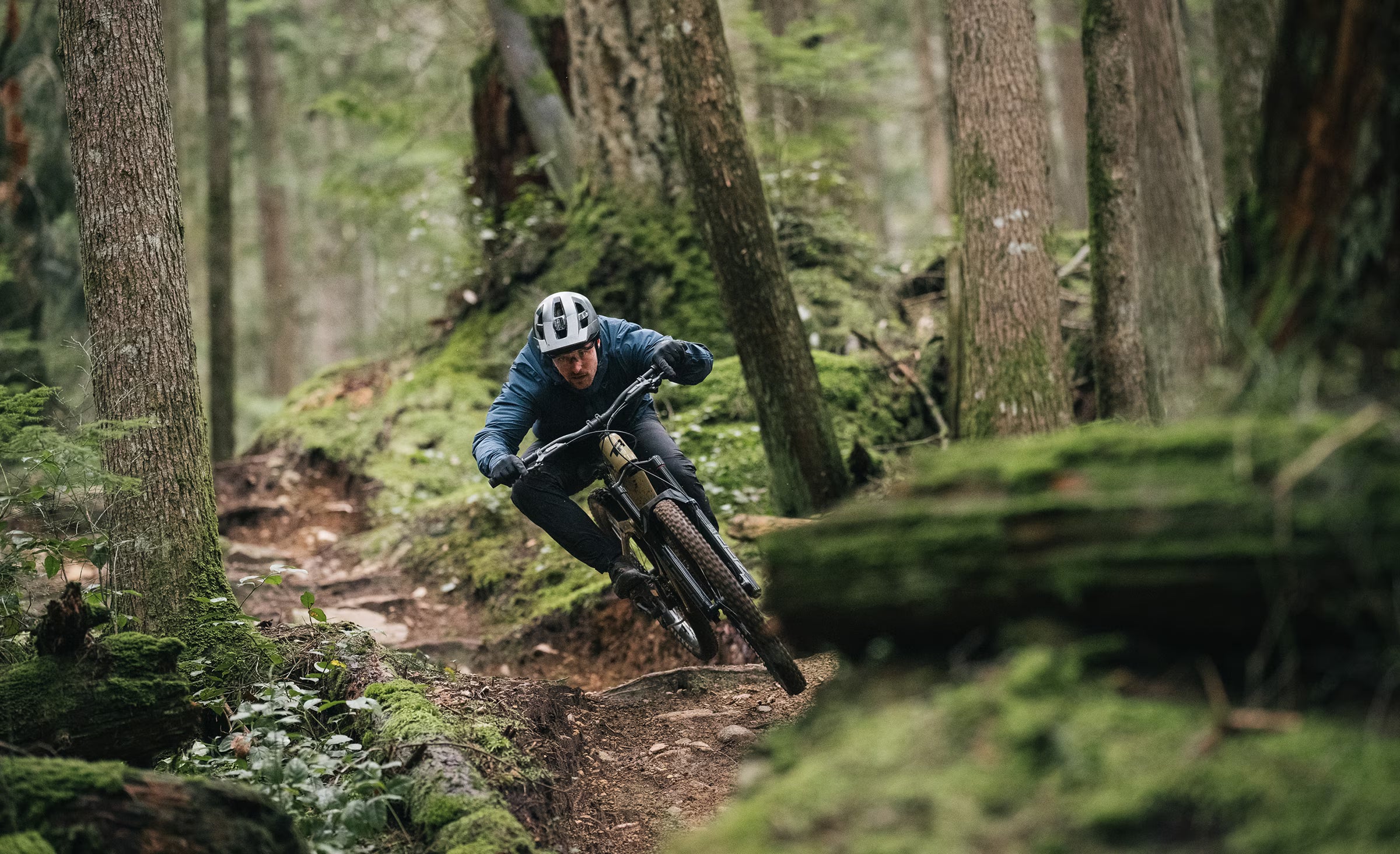 Transition — C RepeaterPT Action1 — 841f1cb6