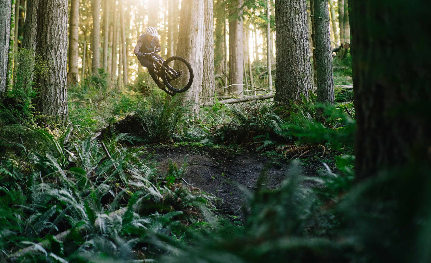 Transition — C11 Senti Myles — ee4f2f4c