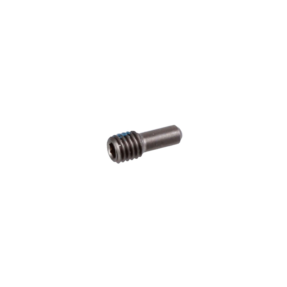 FOX Fastener Custom (Metric)-Set Screw Dog Point Radius M3 X .5mm .300 TLG S-BRINK