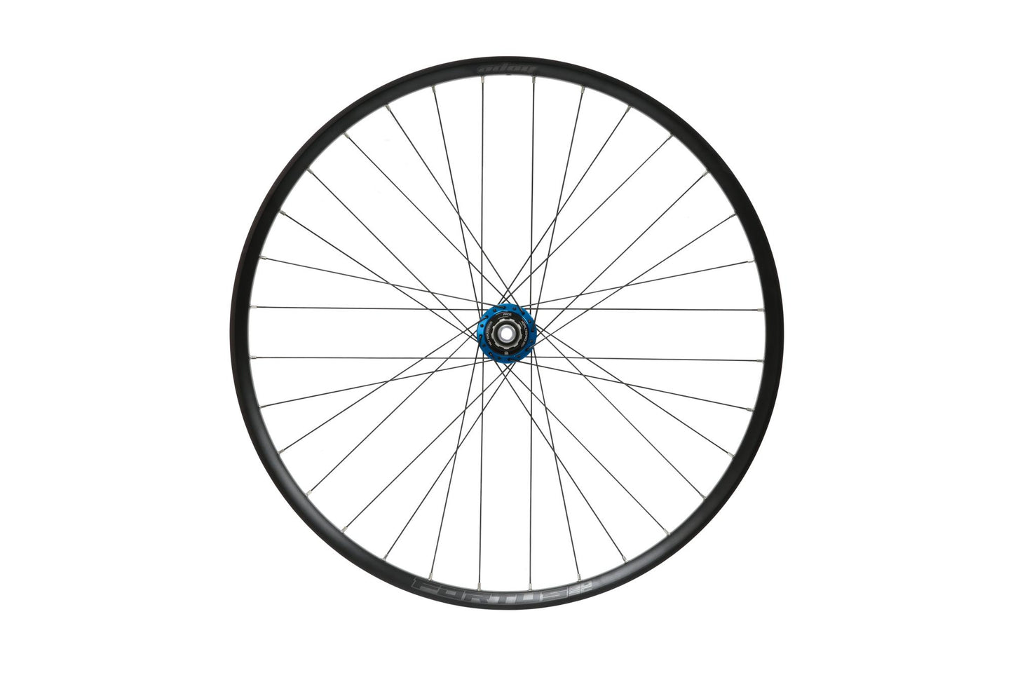 Hope Pro 5 DH Rear Wheel | Fortus 30SC | 6-Bolt-Rear Wheels-29-Blue-HG Aluminium-BRINK