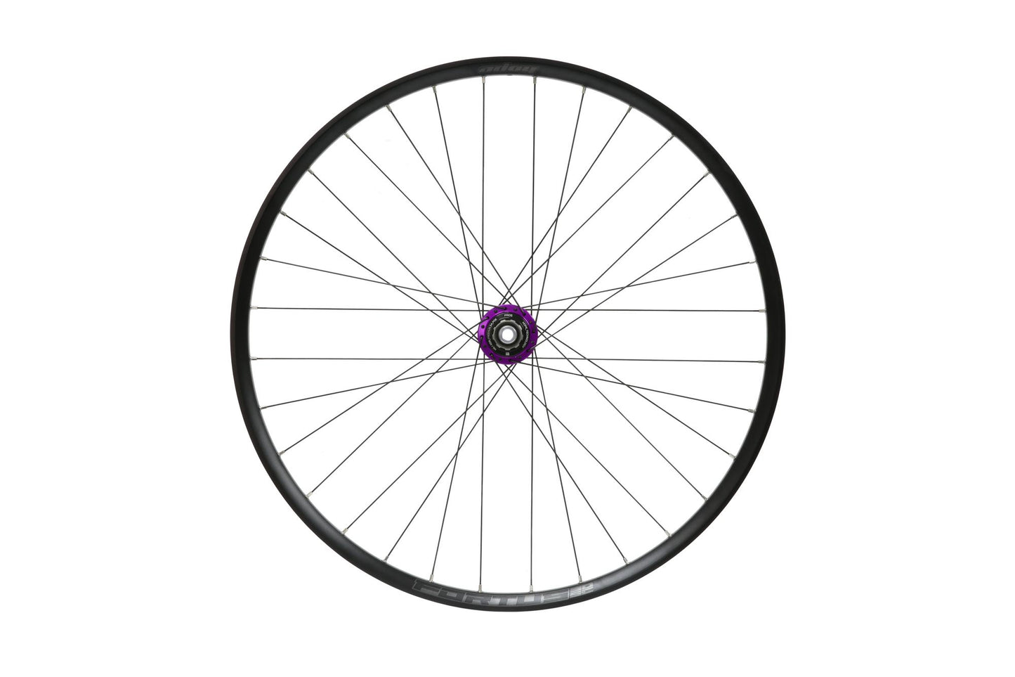 Hope Pro 5 DH Rear Wheel | Fortus 30SC | 6-Bolt-Rear Wheels-29-Purple-HG Steel-BRINK